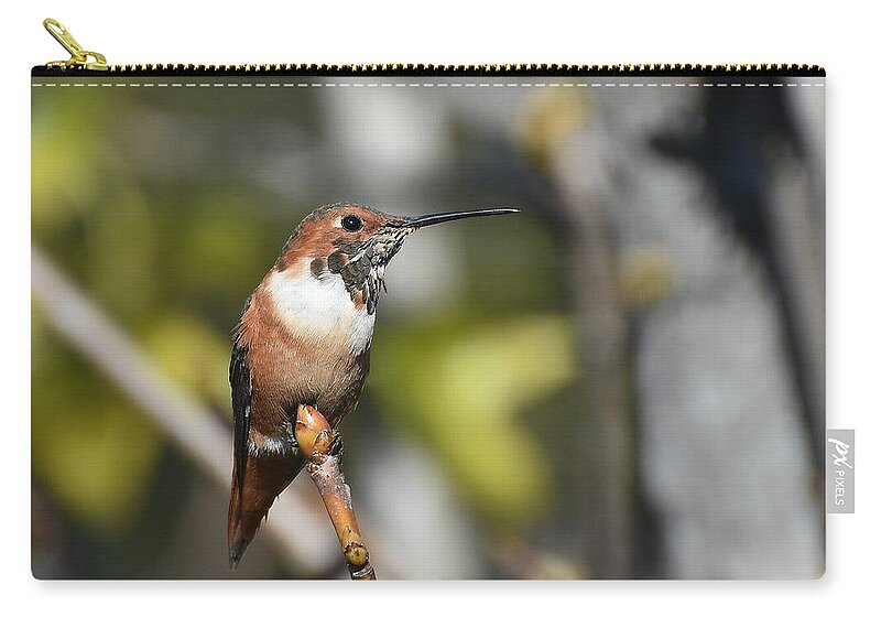 Allens Hummingbird Zip Pouch featuring the photograph Farewell To Autumn by Fraida Gutovich