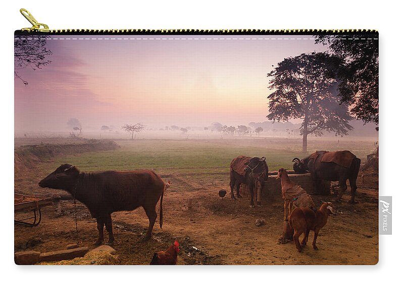 Dawn Zip Pouch featuring the photograph Farm Animals At Dawn, India by Adrian Pope
