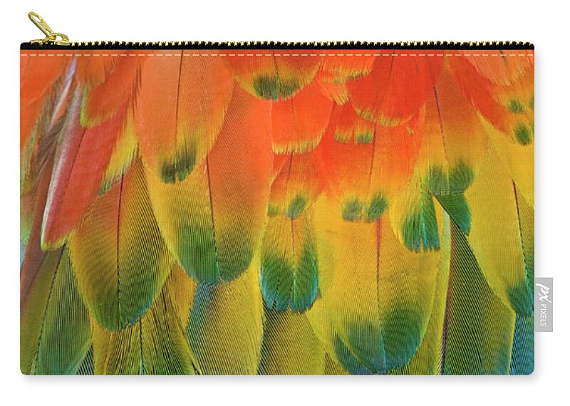 Macaw Zip Pouch featuring the photograph Feather Pattern, Scarlet Macaw by Adam Jones