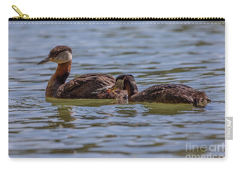 Photography Zip Pouch featuring the photograph Feeding Time by Alma Danison