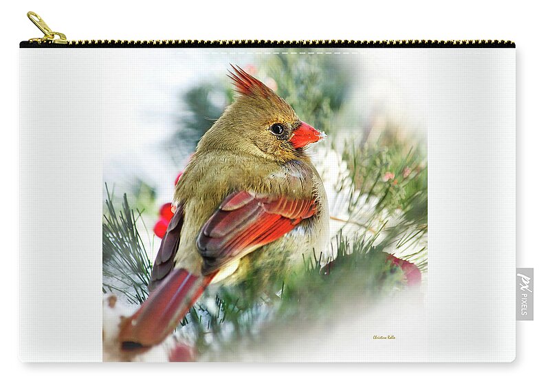 Bird Carry-all Pouch featuring the photograph Female Northern Cardinal Square by Christina Rollo