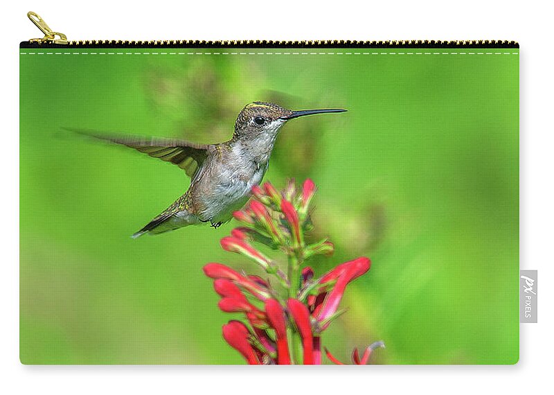 Nature Carry-all Pouch featuring the photograph Female Ruby-throated Hummingbird DSB0316 by Gerry Gantt