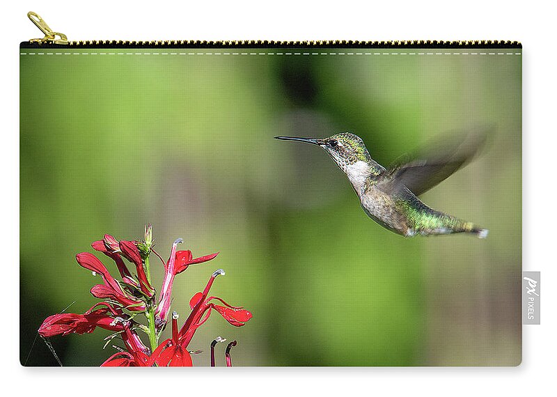 Nature Zip Pouch featuring the photograph Female Ruby-throated Hummingbird DSB0320 by Gerry Gantt