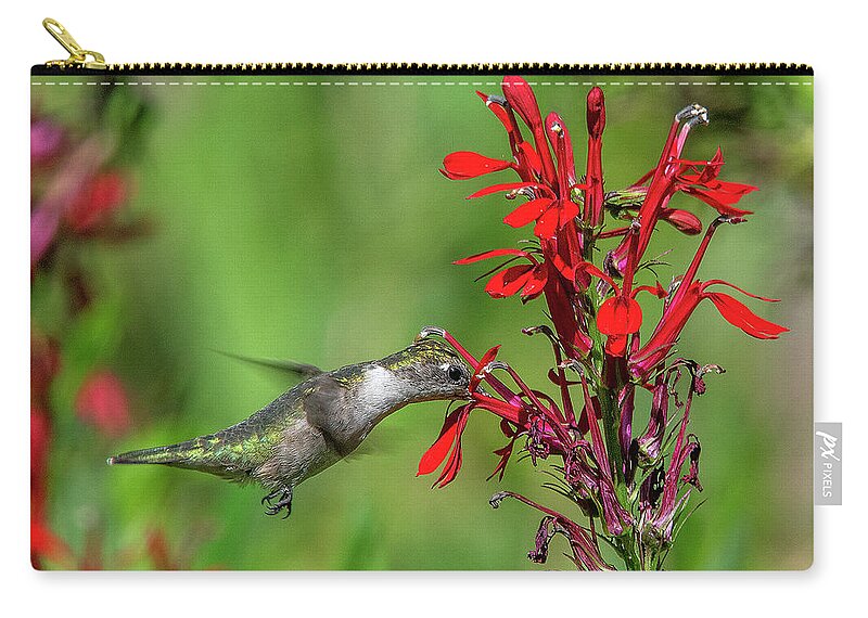 Nature Carry-all Pouch featuring the photograph Female Ruby-throated Hummingbird DSB0324 by Gerry Gantt