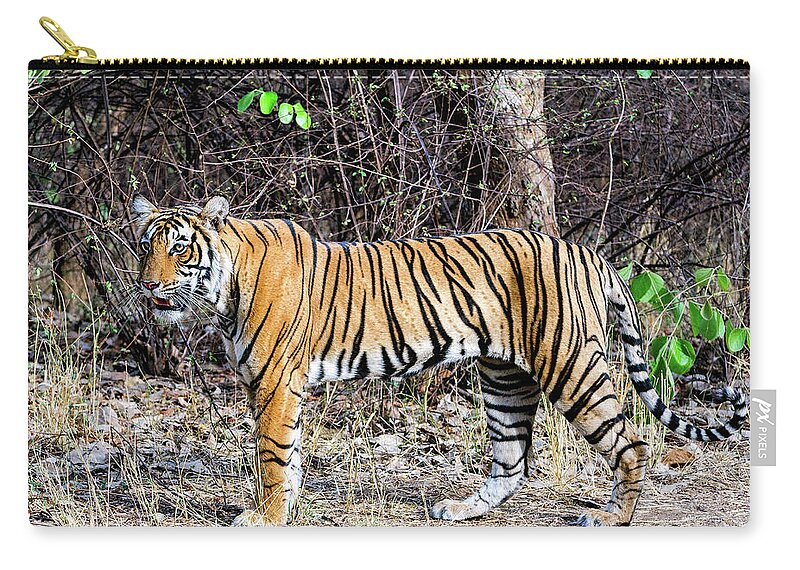 Ranthambore National Park Zip Pouch featuring the photograph Female Tiger Cub by Copyright@jgovindaraj