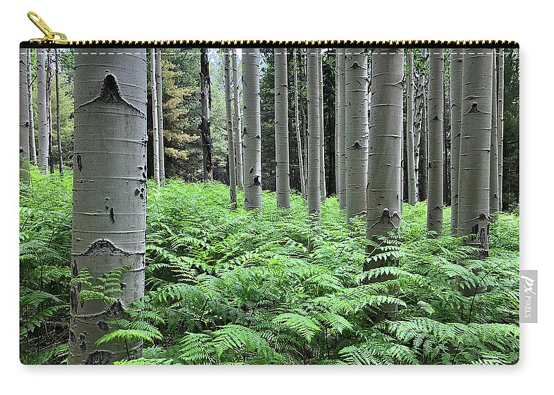 Arizona Zip Pouch featuring the photograph Ferns in an Aspen Grove by Jeff Goulden