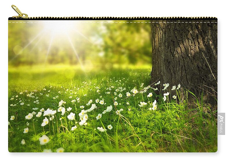 Flowers Zip Pouch featuring the photograph Field of daisies by Top Wallpapers