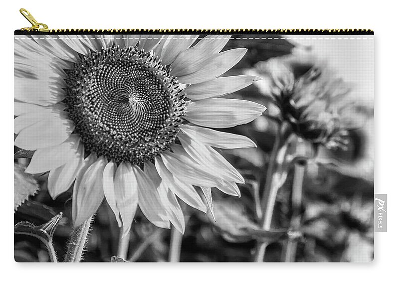 Flower Zip Pouch featuring the photograph Field of Flowers by Ray Silva