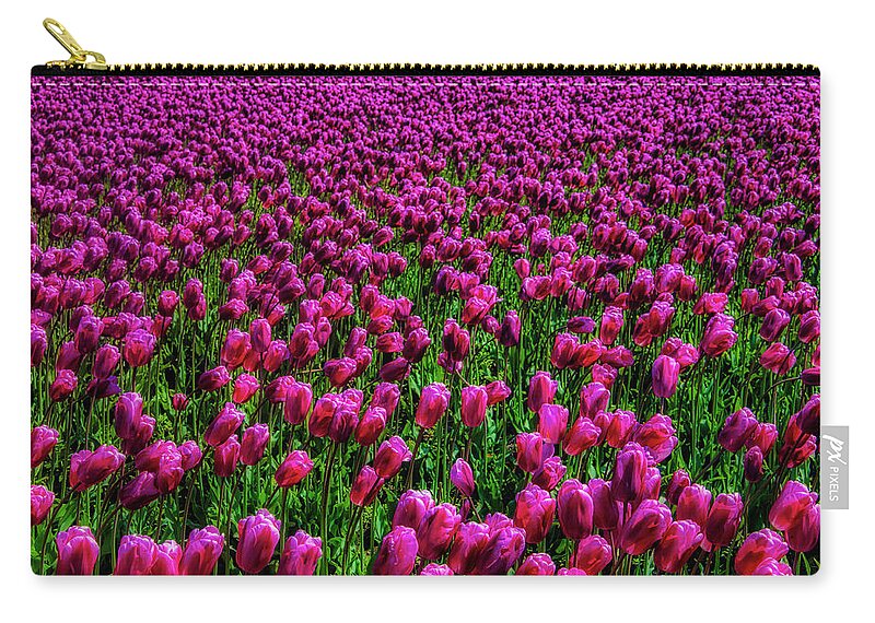 Tulip Zip Pouch featuring the photograph Field Of Purple Tulips by Garry Gay