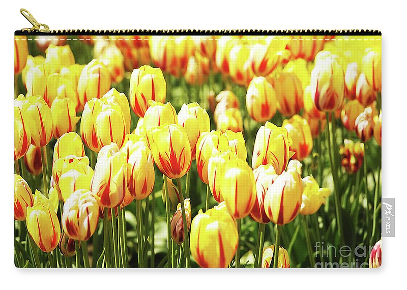 Yellow Zip Pouch featuring the photograph Field of Yellow by Rich Collins