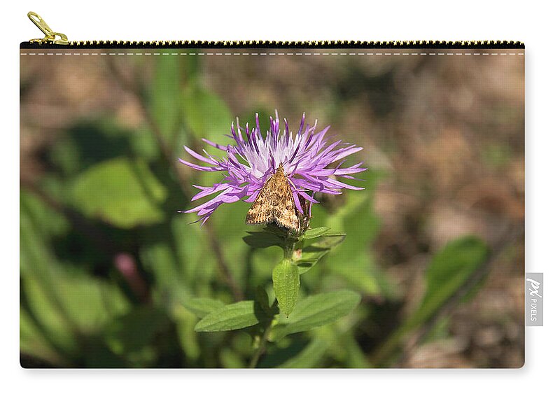 Fioreviola Zip Pouch featuring the photograph Fiore Energetico by Simone Lucchesi