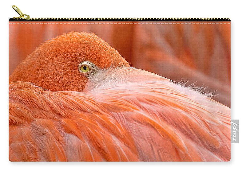  Zip Pouch featuring the photograph Flamboyant Flamingo by Nadia Sanowar