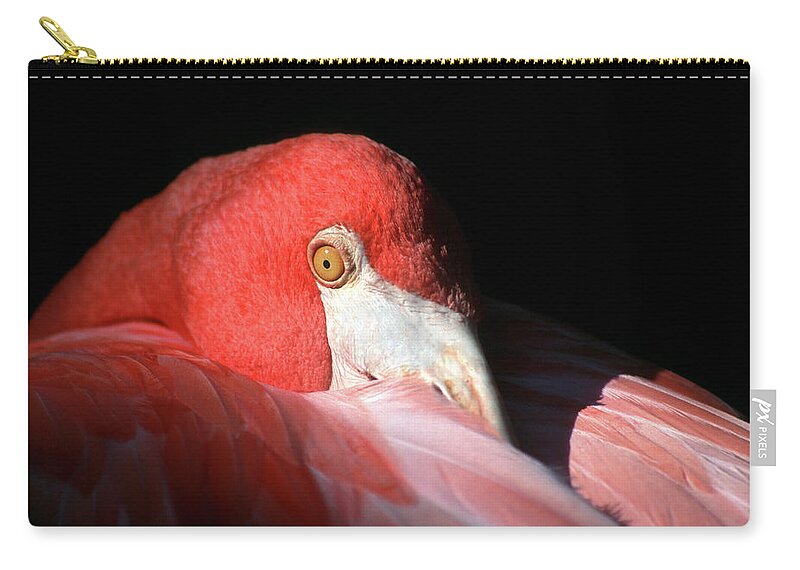 Black Background Zip Pouch featuring the photograph Flamingo by Manuelvelasco