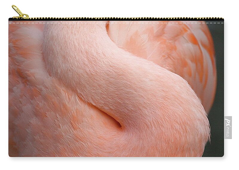 Curve Zip Pouch featuring the photograph Flamingo Neck by Mathew Spolin