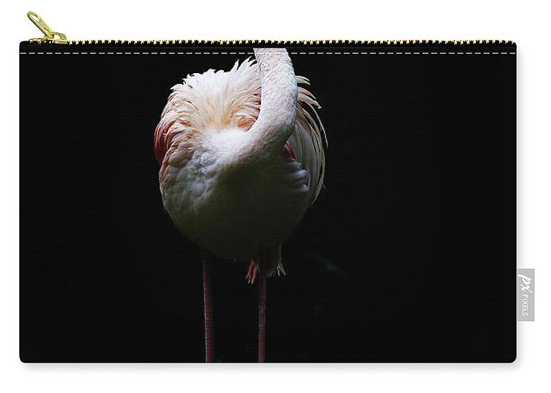 Animal Themes Zip Pouch featuring the photograph Flamingos by Seng Chye Teo