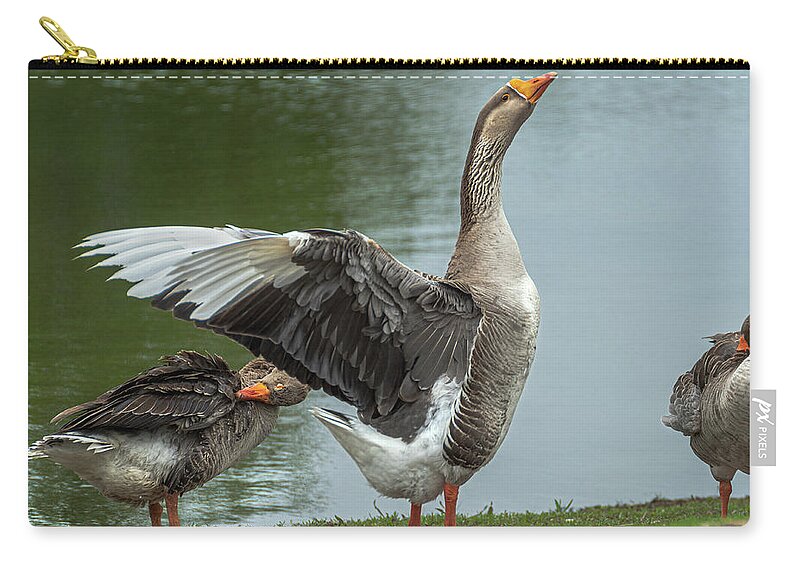 Geese Zip Pouch featuring the photograph Flapper by Phil S Addis