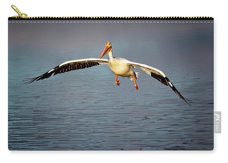 White Zip Pouch featuring the photograph Flaps Down by Ronald Lutz
