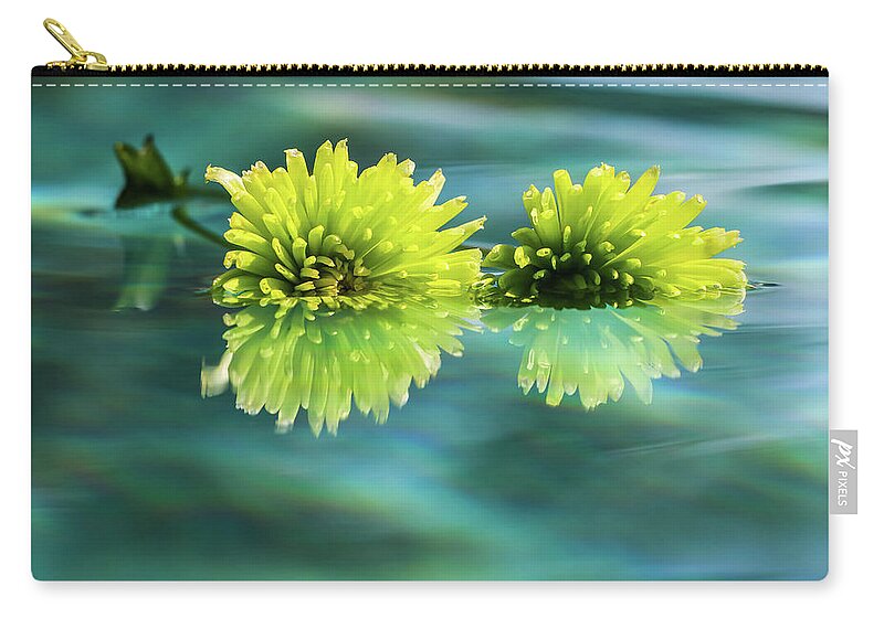 Arizona Zip Pouch featuring the photograph Floating Daisies 2 by Dawn Richards