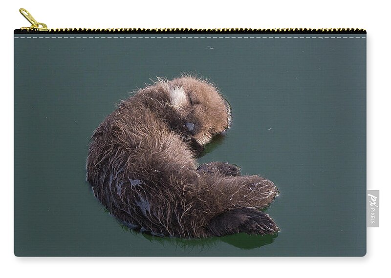 Suzi Eszterhas Zip Pouch featuring the photograph Floating Otter Pup by Suzi Eszterhas