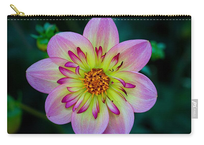 Flower Carry-all Pouch featuring the photograph Flower 3 by Anamar Pictures