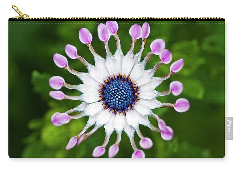 Petal Zip Pouch featuring the photograph Flower by Simon Anderson