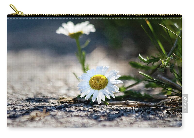 Beautiful Zip Pouch featuring the photograph Flower streetside by SAURAVphoto Online Store
