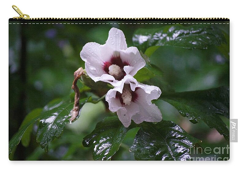 Flowers Zip Pouch featuring the photograph Flowers After The Rain by Aicy Karbstein