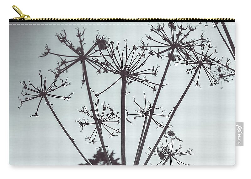 Flores Zip Pouch featuring the photograph Flowers at Winter by Totto Ponce