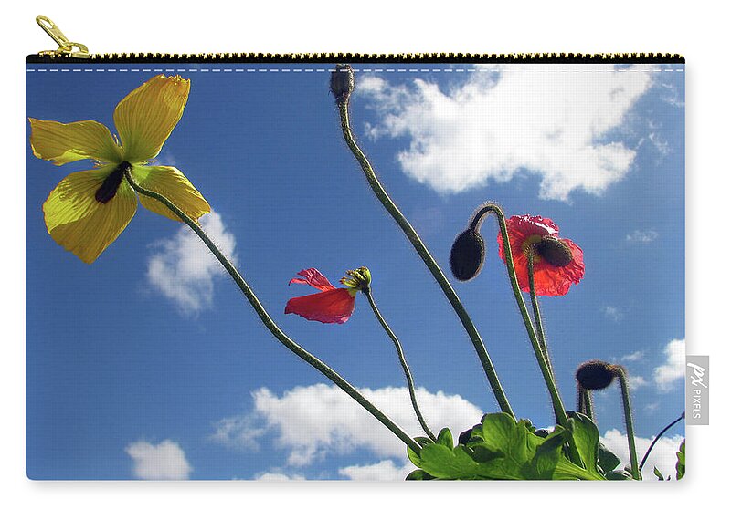 Bright Zip Pouch featuring the photograph Flowers in the Sky by Jaeda DeWalt