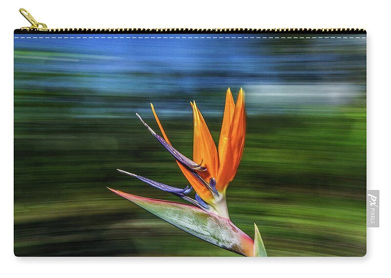 John Bauer Zip Pouch featuring the photograph Flying Bird of Paradise by John Bauer