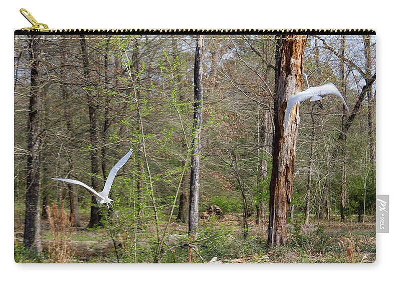 Birds Swans Zip Pouch featuring the photograph Flying Swans by Rocco Silvestri