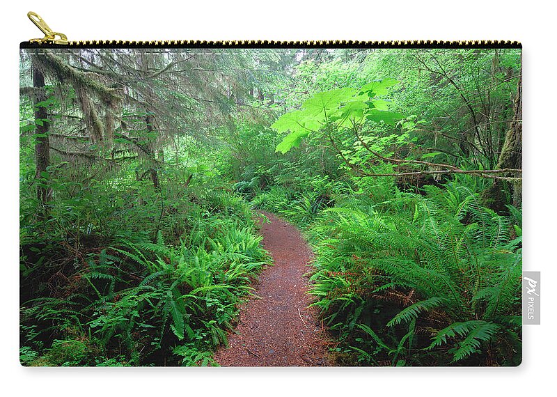 Scenics Zip Pouch featuring the photograph Footpath Through Quinault Rainforest by Martin Ruegner
