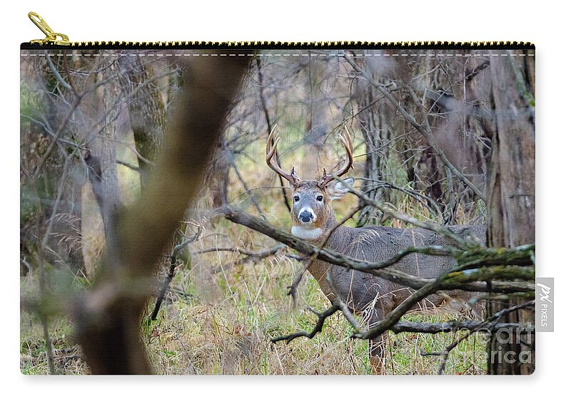 2018 Zip Pouch featuring the photograph Forest Champion by Wild Fotos