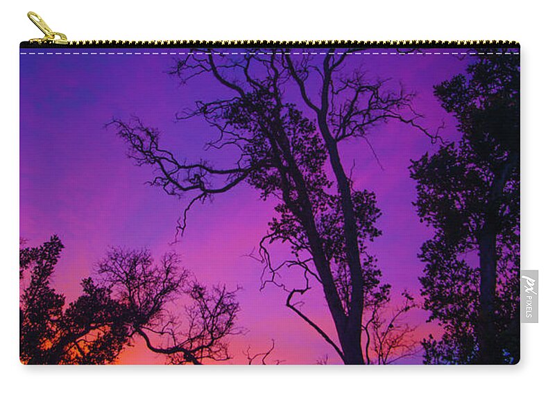 Images And Videos Byj Ohn Bauer Johnbdigtial.com Zip Pouch featuring the photograph Forest Colors by John Bauer