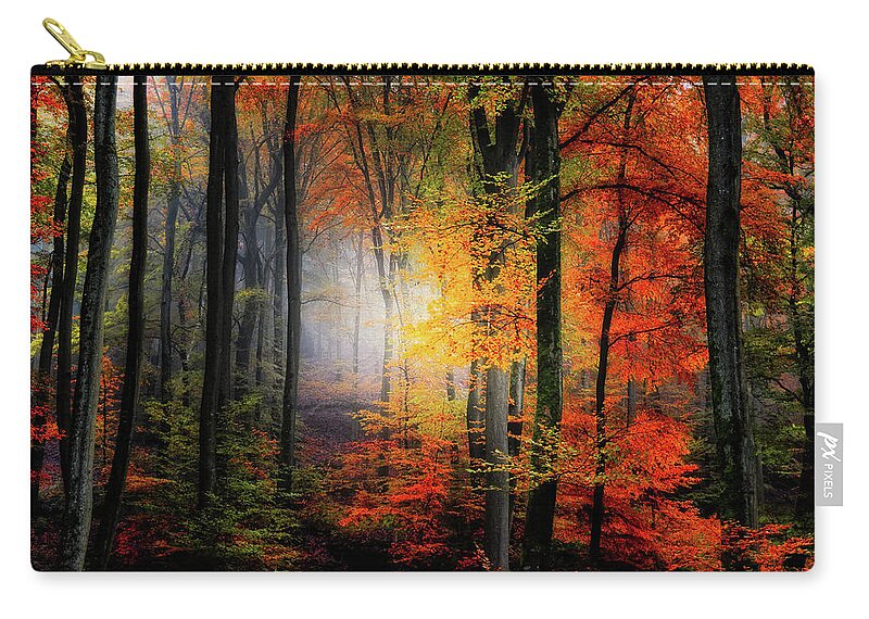 Forest Zip Pouch featuring the photograph Forest Light by Philippe Sainte-Laudy