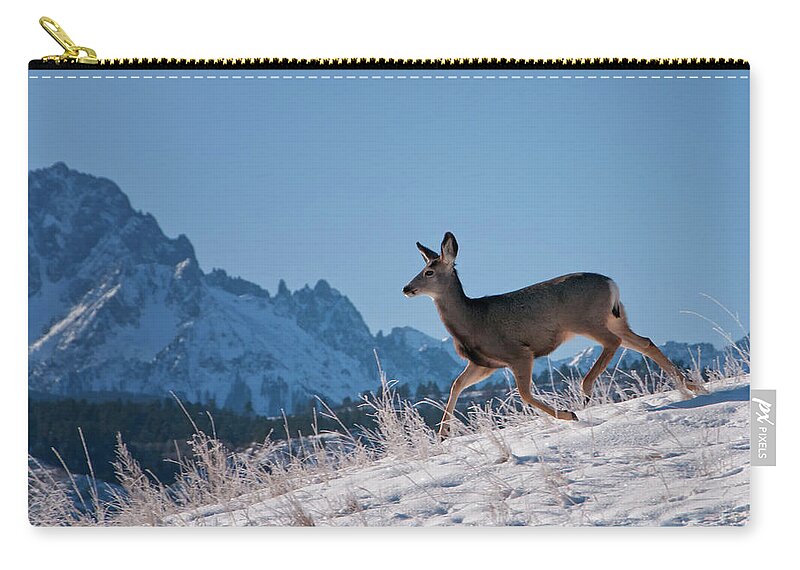 Snow Zip Pouch featuring the photograph Free by Amy Hudechek