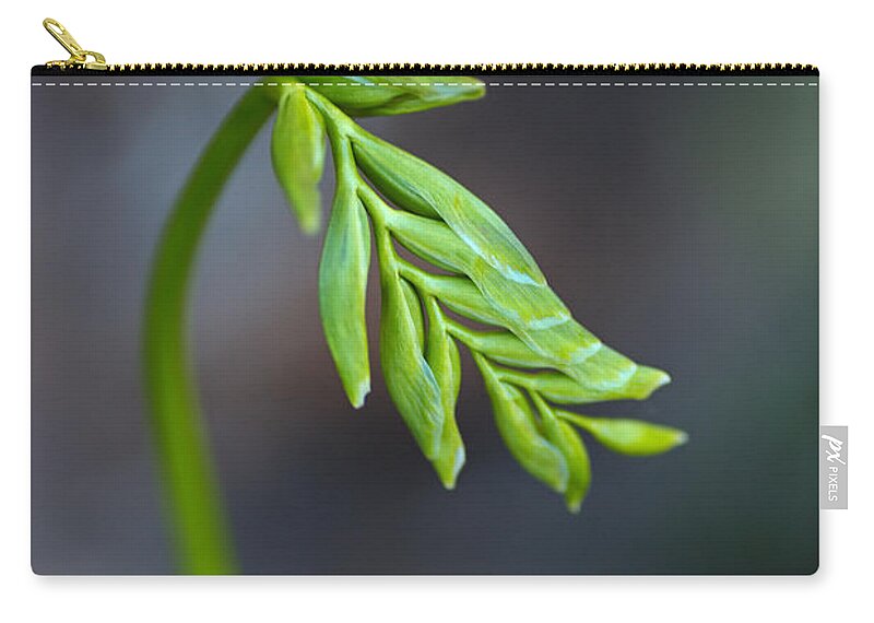 Freesia Bud Is Waking Up Zip Pouch featuring the photograph Freesia Bud Is Waking Up by Joy Watson