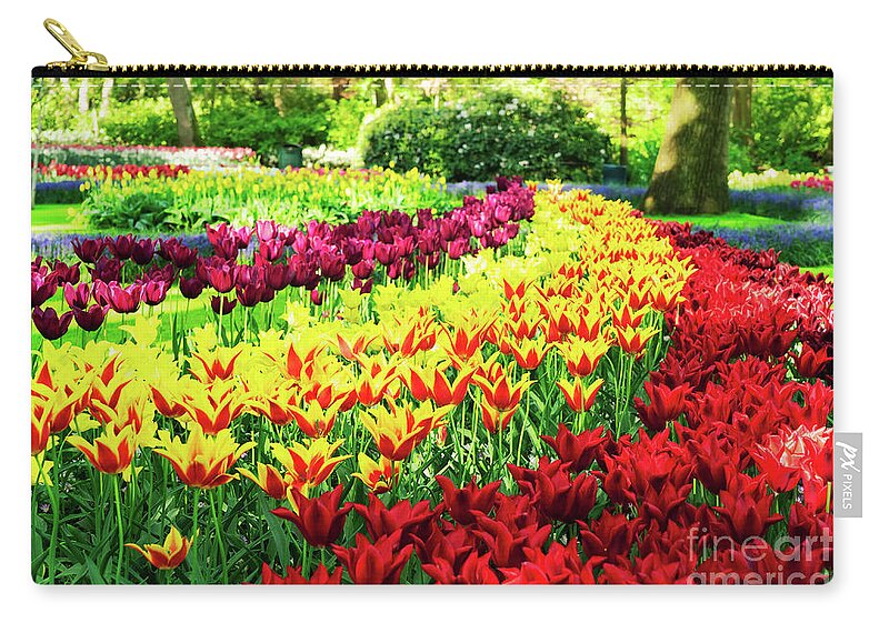 Netherlands Zip Pouch featuring the photograph Tulips Park by Anastasy Yarmolovich