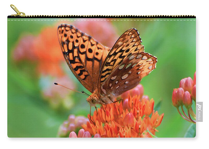 Fritillary Butterfly Zip Pouch featuring the photograph Fritillary Butterfly on Butterfly Milkweed by Kerri Farley