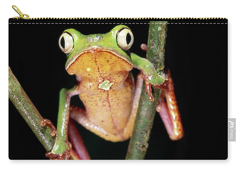 Ugliness Zip Pouch featuring the photograph Frog, Phyllomedusa Vaillanti by Art Wolfe