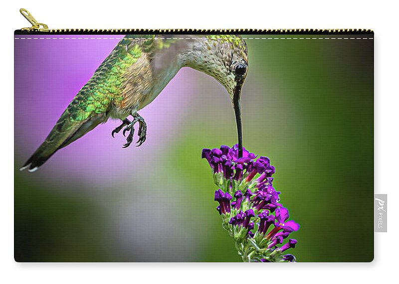 Hummingbird Zip Pouch featuring the photograph From the Top - Springfield MO by Allin Sorenson