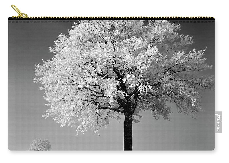Belgium Zip Pouch featuring the photograph Frosted Tree by Pierre Hanquin Photographie