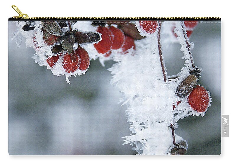 Snow Zip Pouch featuring the photograph Frosty Berries In Michigan Winter by Stephen Brown