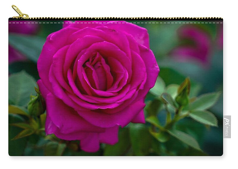 Rose Zip Pouch featuring the photograph Fuchsia Rose by Susan Rydberg