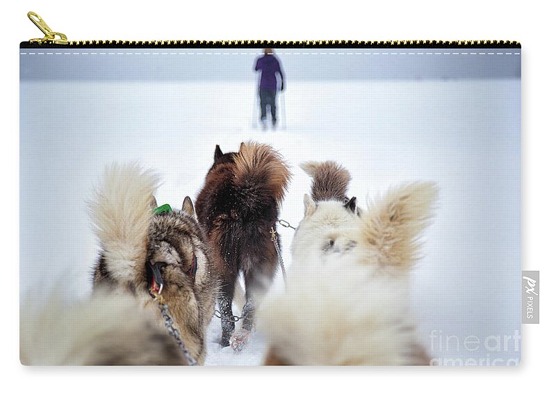 Dog Carry-all Pouch featuring the photograph Fuzzy Tails Across the Snow by Becqi Sherman