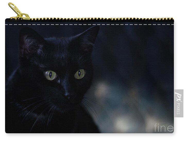 Black Cat Photograph Zip Pouch featuring the photograph Gabriel by Irina ArchAngelSkaya