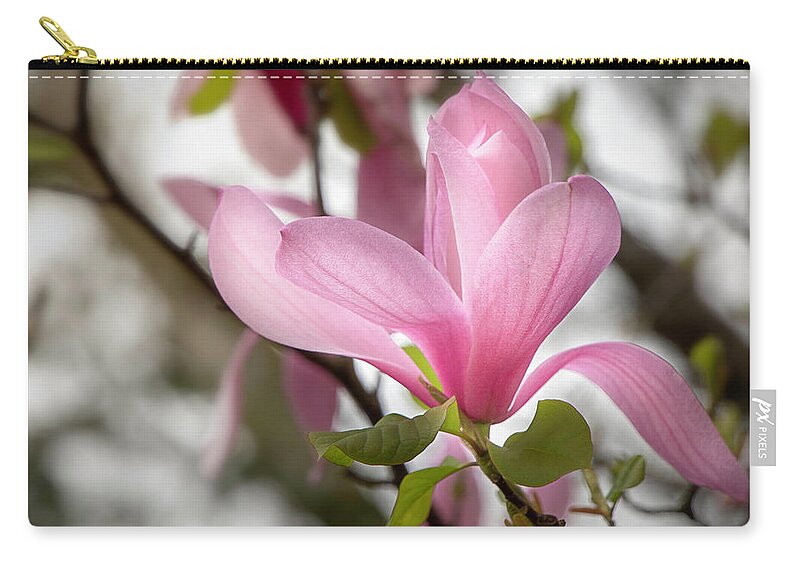 Bloom Zip Pouch featuring the photograph Galaxy Magnolia Bloom by TL Wilson Photography by Teresa Wilson