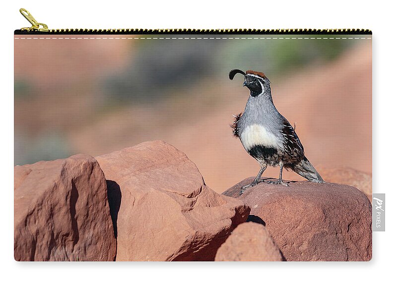 America Zip Pouch featuring the photograph Gambels Quail one by James Sage
