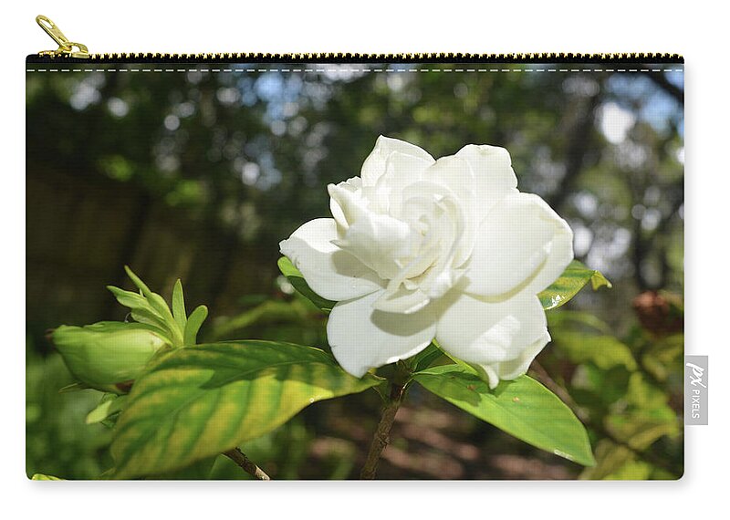Gardenia Zip Pouch featuring the photograph Gardenia and Bud by Aimee L Maher ALM GALLERY