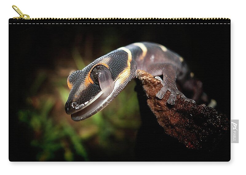 Animal Themes Zip Pouch featuring the photograph Gecko by Kristian Bell